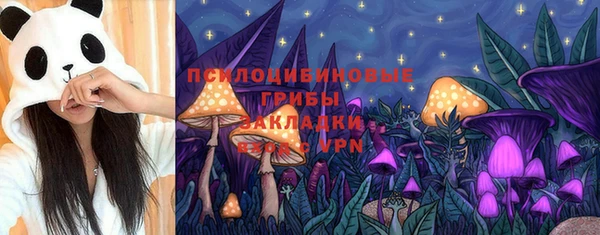 мяу мяу кристалл Богданович