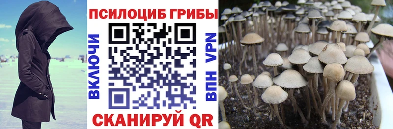 нарко площадка клад  Гай  Галлюциногенные грибы ЛСД  цены наркотик 