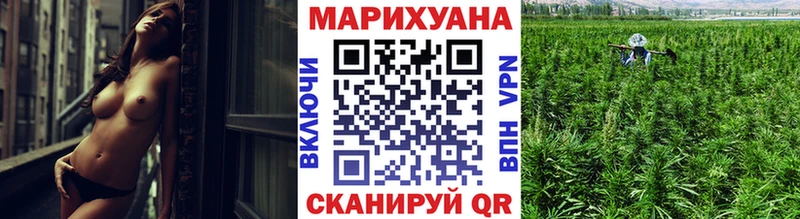 Бошки марихуана семена  кракен ТОР  Гай 
